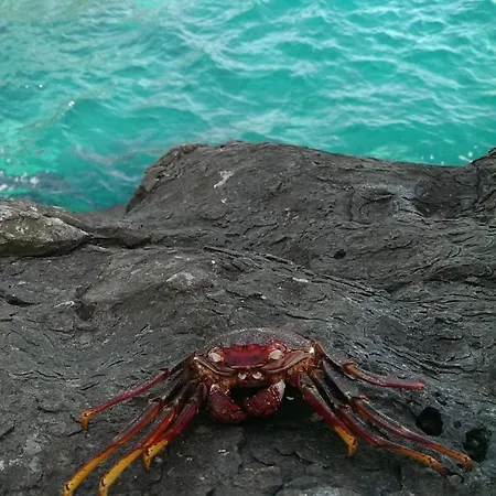 Appartamento Apartamento Drago *